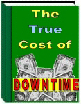 Ebook - The true cost of downtime Screenshot